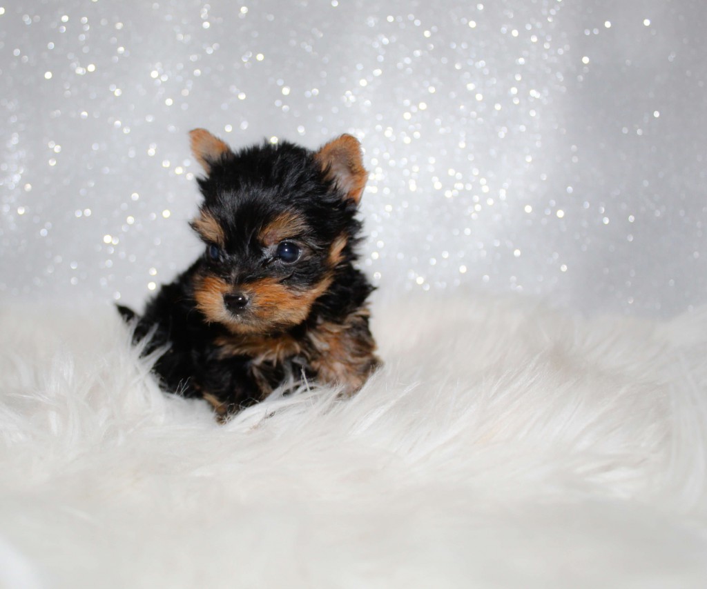 IMG_7788_edited IMG_7788_edited