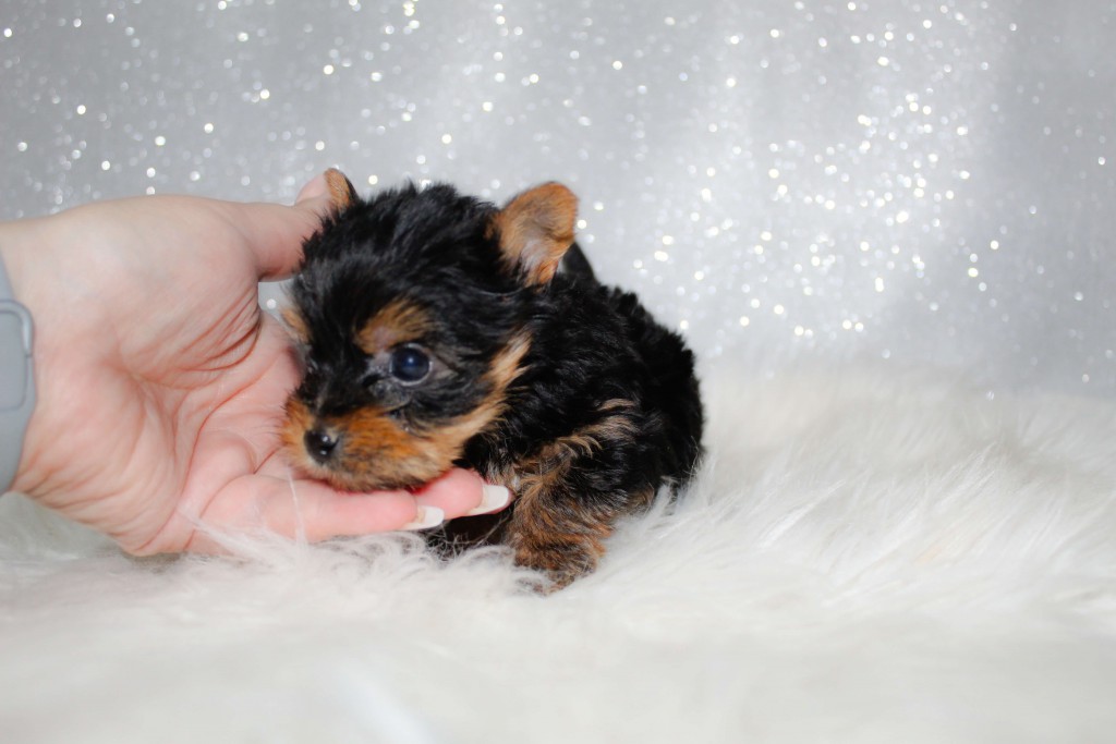 IMG_7789_edited IMG_7789_edited