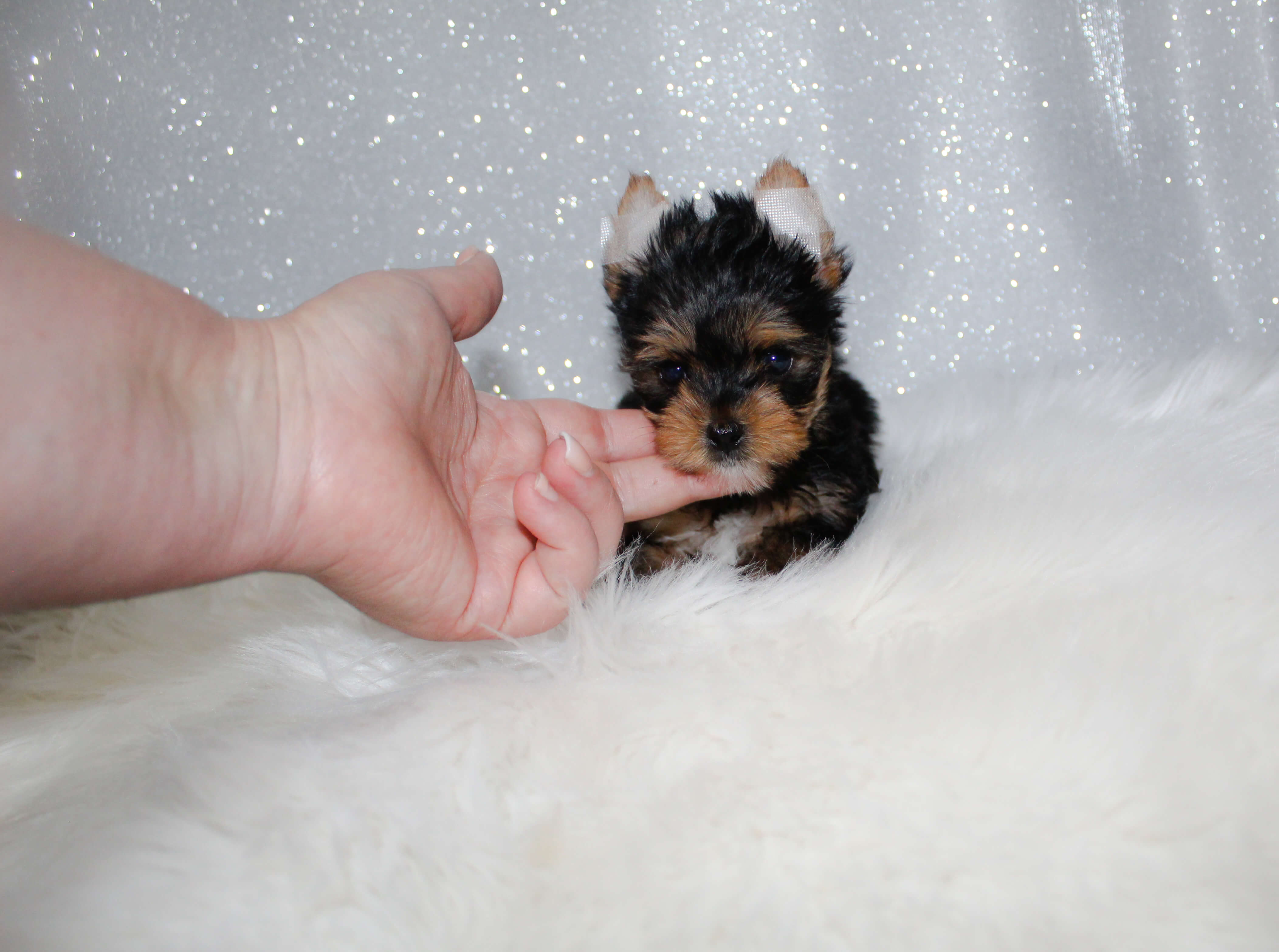 IMG_8781_edited IMG_8781_edited