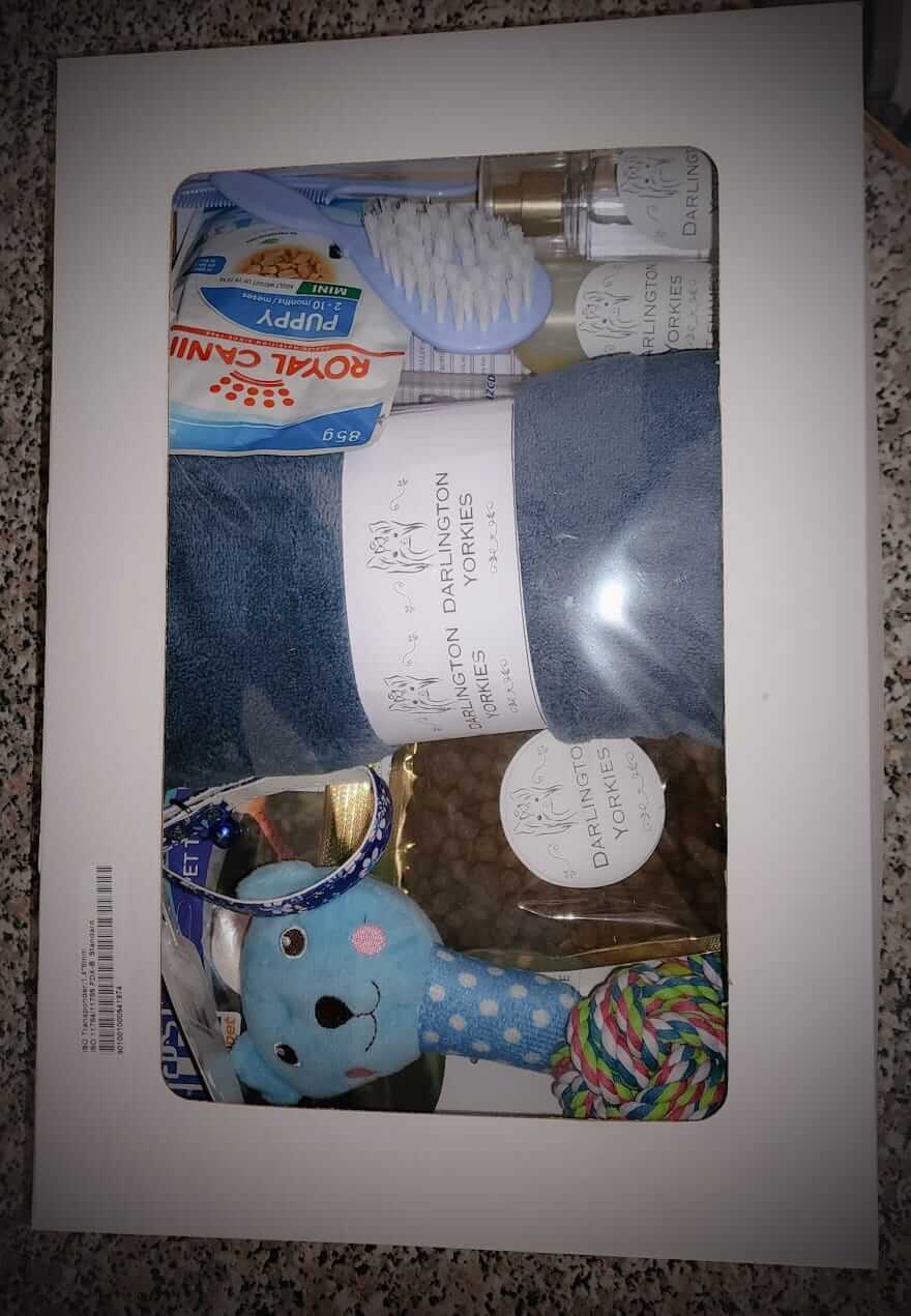 puppy pack 1 puppy pack 1